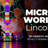 Microworld: Lincoln
