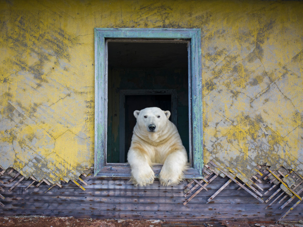 Wildlife Photographer of the Year Exhibition - Tickets