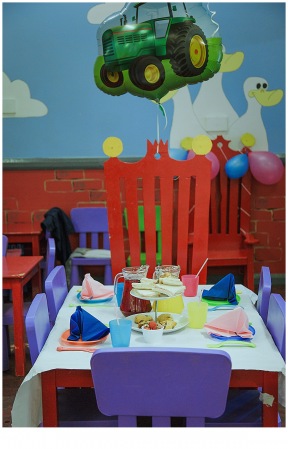 Birthday Party Booking Till August 2017