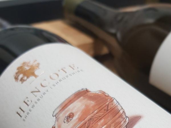 Amphora Wine Tasting