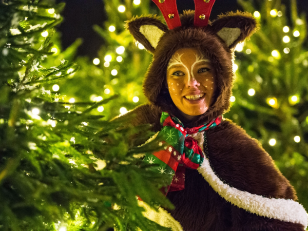 Christmas at Mead Open Farm Flexi Plus