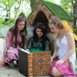 Enchanted Fairy Forest
