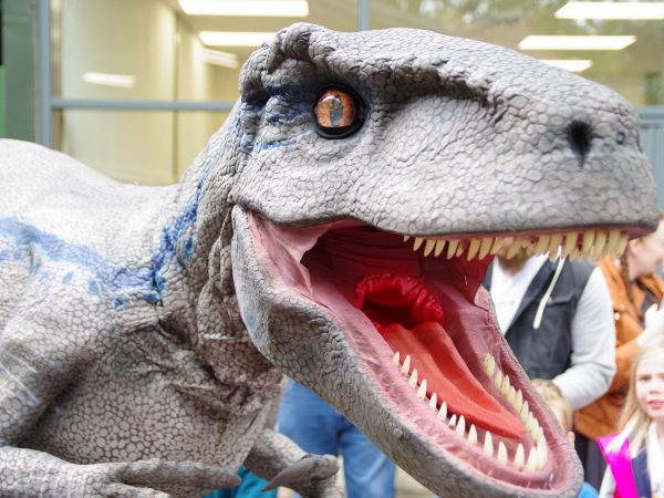 Dinosaur Weekend