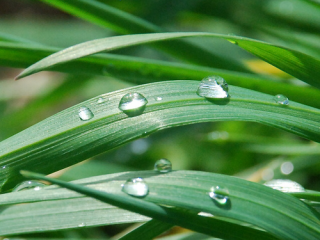 Mindfulness Courses