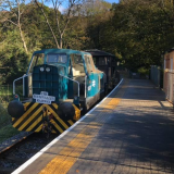 Brake Van Rides