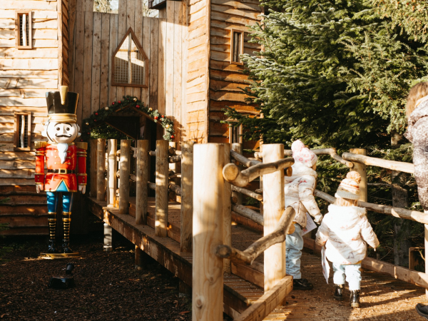 The Plotters’ Forest Enchanted Trail