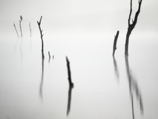Wildlife Photographer of the Year Exhibit (Loyalty Card Holders)