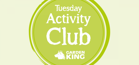 Tuesday Activity Club