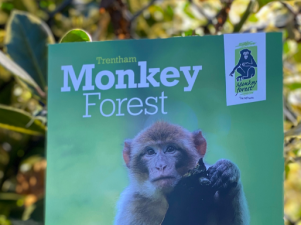 Monkey Forest Map & Guide