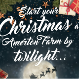 Amerton by Twilight