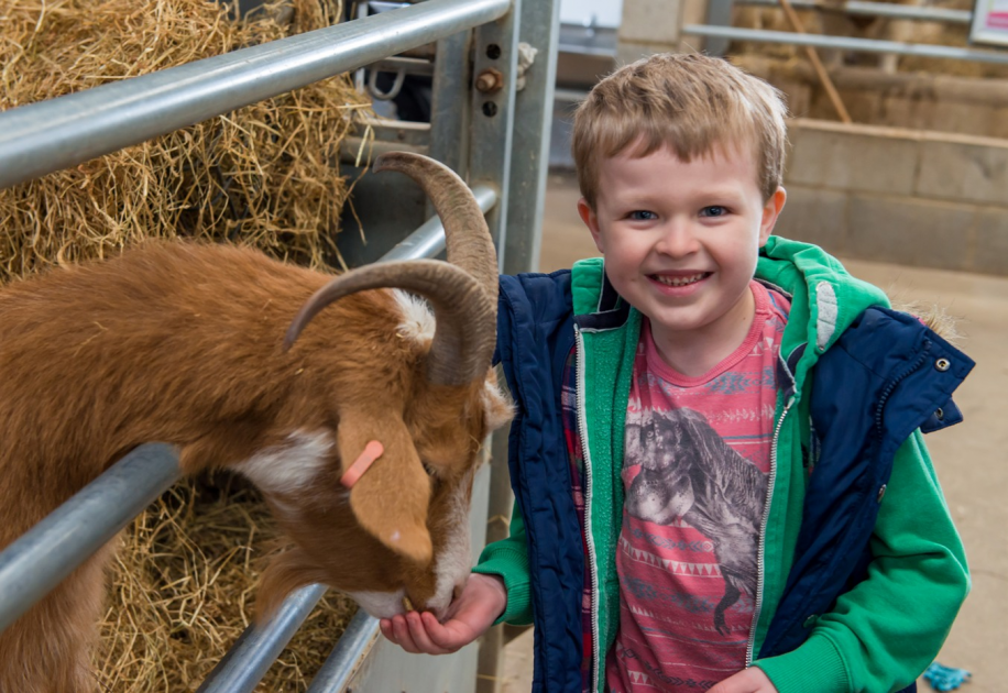 Buy Animal Feed Tickets online Mead Open Farm