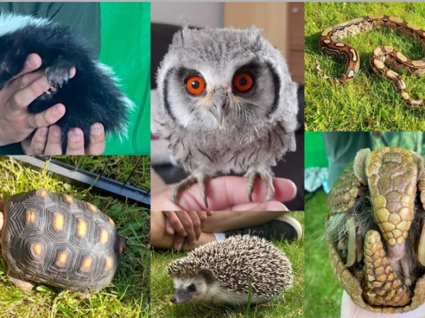 Garg's Animal Encounters SEN Session