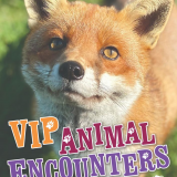 VIP Animals Encounters