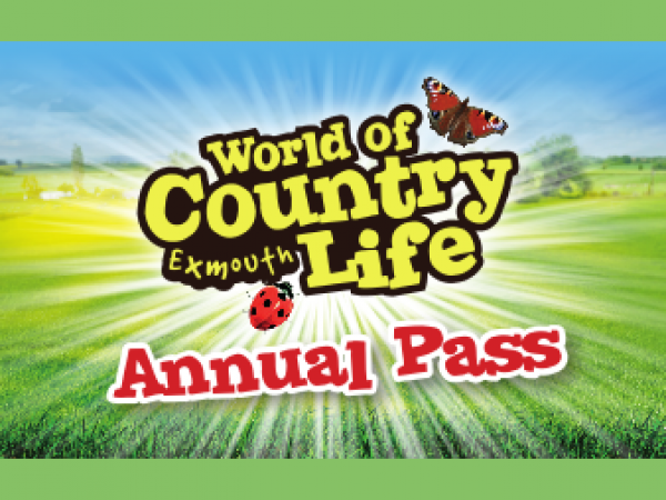 Annual Pass Purchase
