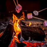 Campfires at Saunders Farm