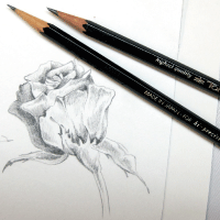 Still Life Art Workshop