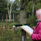 Art In The Park