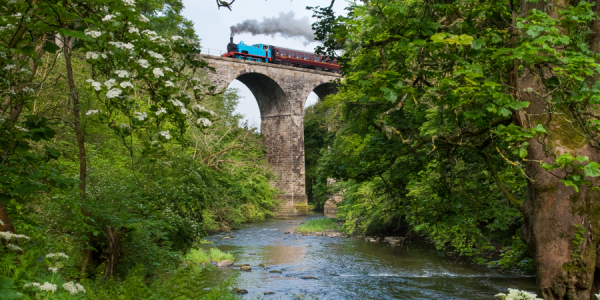 Afternoon Tea on a Steam Train