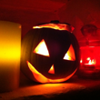 Autumn / Winter Events