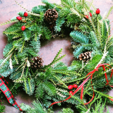 Notcutts Norwich - Christmas wreath making workshop with Romeo & Succulent - 4th December 2019