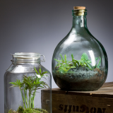 Notcutts Rivendell - Build your own terrarium - 14th February 2020
