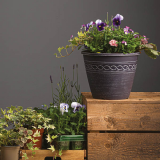 Notcutts Woodford Park - Create your own festive planted container - 26th November 2019
