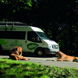 knowsley safari park virgin experience