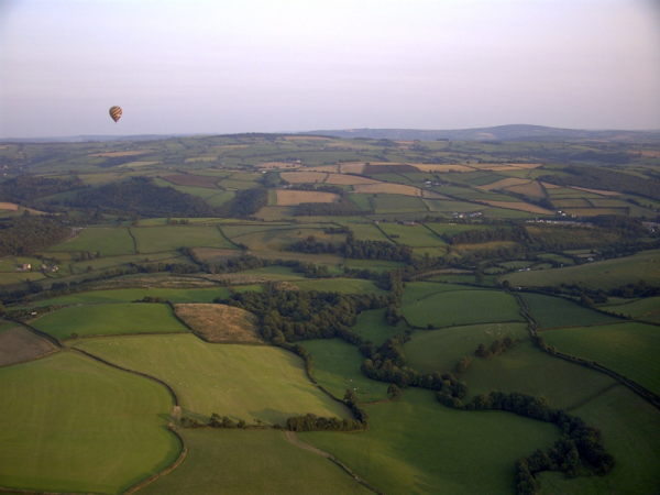 Aerosaurus Balloons