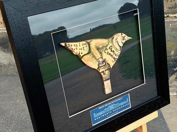 Flock Collectable Bird - Framed