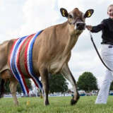 Royal Bath & West Show 29th May-1st June 2019