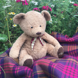 Teddy Bears' Picnic