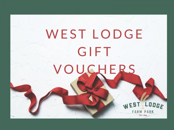 Gift Vouchers