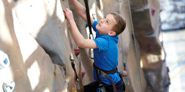 Climbing Wall