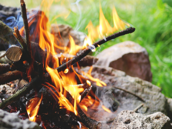 Bushcraft Activities