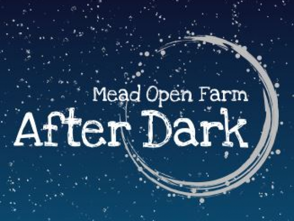 After Dark - Drinks Packages