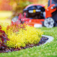 Lawn Care Workshop