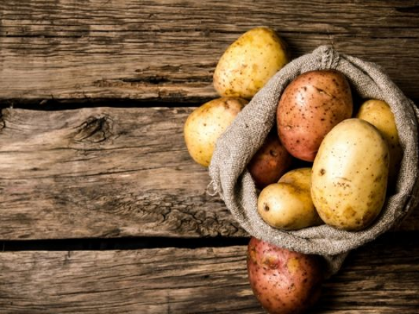 Admission 2023_13: September SpudFest Weekends