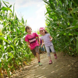 Maize Maze Tickets