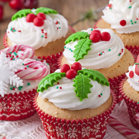 Children's Festive Cupcake Masterclass