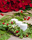 Christmas Centre Piece