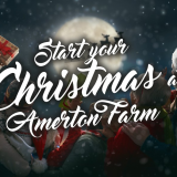 Christmas at Amerton Farm 2020