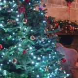 Christmas Through the Ages- Guided House Tour