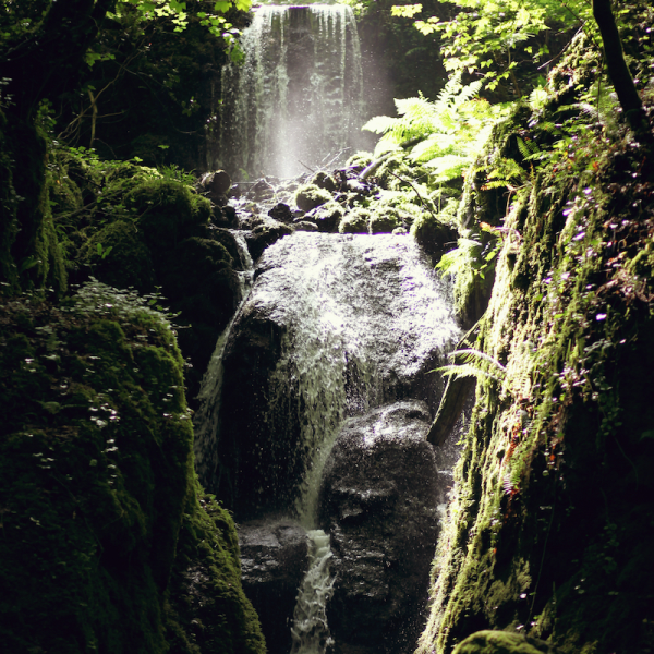 Canonteign Falls Tickets, Products, Bundles, Membership Plans, Gift ...