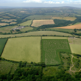 Maize Maze and Fun Farm Entry 2020