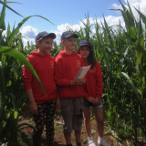 Maize Maze and Fun Farm Entry 2020