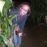 Torchlight Evenings - Saturday 29th August & Saturday 5th September 2020