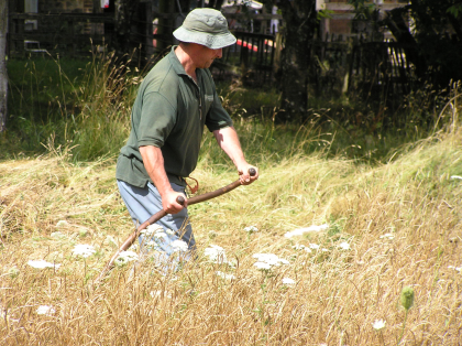 Countryside skills