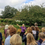 Head gardener's autumn walk