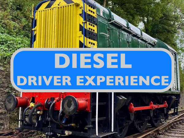 Diesel Driver Taster Experience