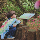 Fairy & Elf Walk Opening Weekend 2021 - 1st to 3rd May